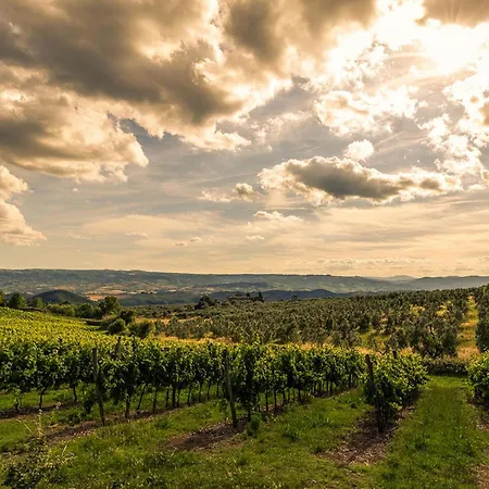Σπίτι διακοπών Amazing In San Vito In Monte *