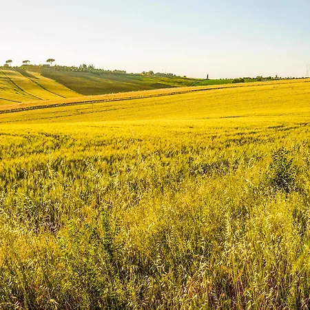 Amazing In San Vito In Monte Baccano